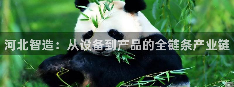 门徒娱乐 门徒平台：河北智造：从设备到产品的全链条产业链