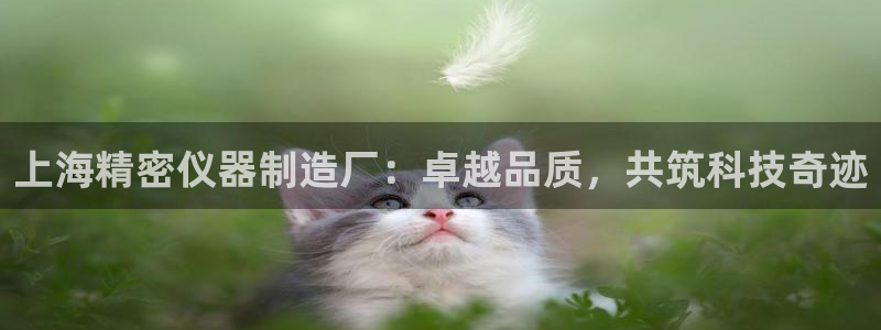 门徒娱乐平台代理：上海精密仪器制造厂：卓越品质，共筑科技奇迹