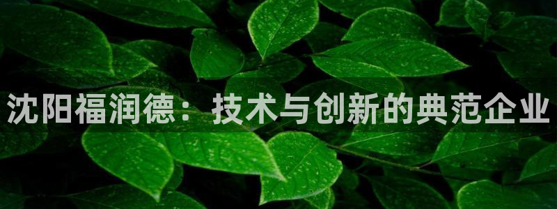 娱乐门徒最新章节免费阅读：沈阳福润德：技术与创新的典范企业
