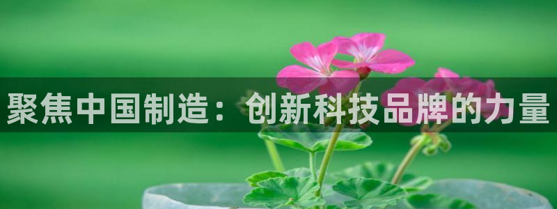 娱乐门徒吧：聚焦中国制造：创新科技品牌的力量