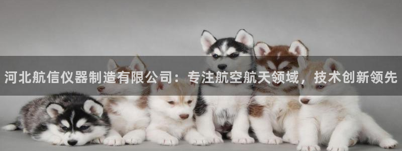 门徒娱乐里eth靠谱不：河北航信仪器制造有限公司：专注航空航