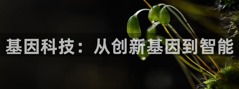 门徒娱乐左5指尖：基因科技：从创新基因到智能