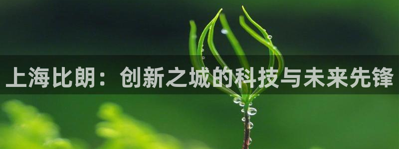 门徒娱乐最狠的三个平台：上海比朗：创新之城的科技与未来先锋