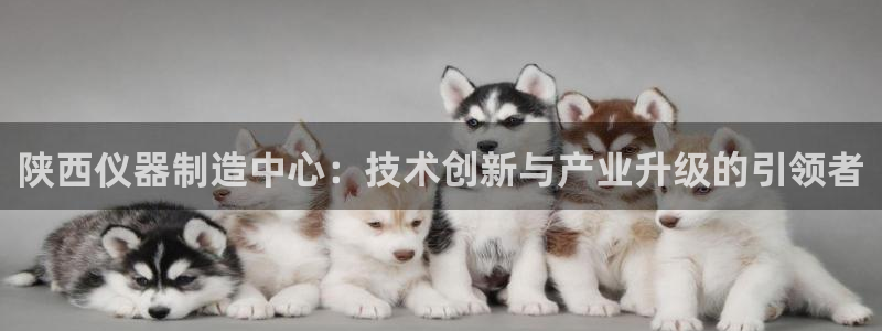 门徒娱乐怎么挂机刷钱：陕西仪器制造中心：技术创新与产业升级的