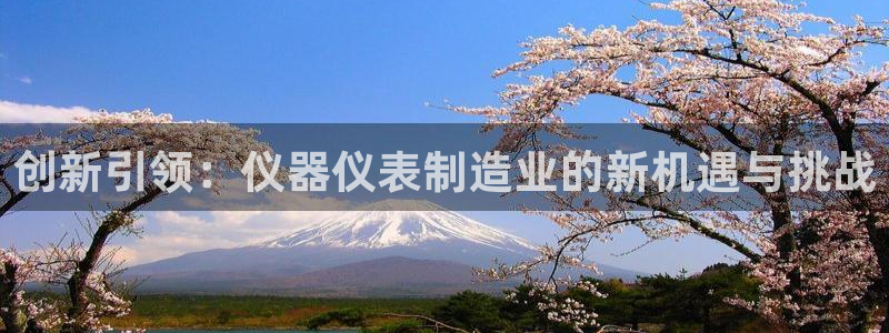 门徒娱乐场所叫什么名字：创新引领：仪器仪表制造业的新机遇与挑