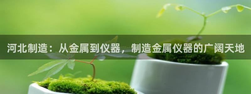 门徒娱乐怎么挂机不掉线：河北制造：从金属到仪器，制造金属仪器