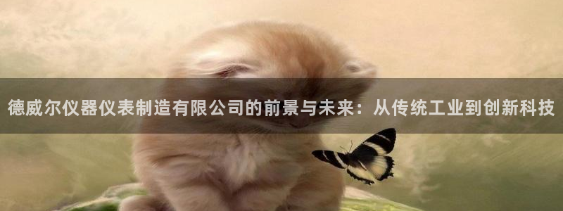 门徒娱乐手机登录不了：德威尔仪器仪表制造有限公司的前景与未来