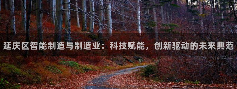 娱乐门徒完结小说：延庆区智能制造与制造业：科技赋能，创新驱动