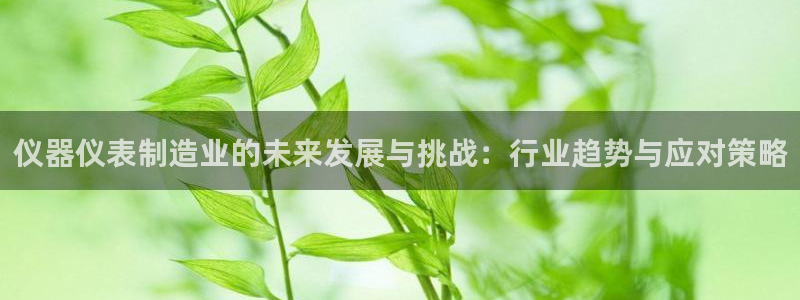 门徒娱乐怎么注册公司：仪器仪表制造业的未来发展与挑战：行业趋