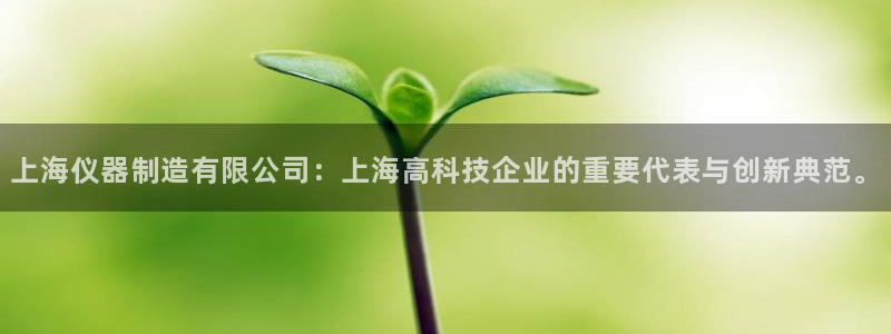 门徒娱乐官方地址下载：上海仪器制造有限公司：上海高科技企业的