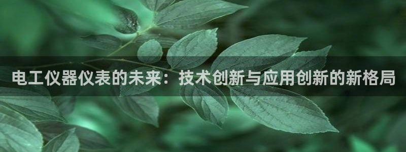门徒娱乐代理注册官网：电工仪器仪表的未来：技术创新与应用创新