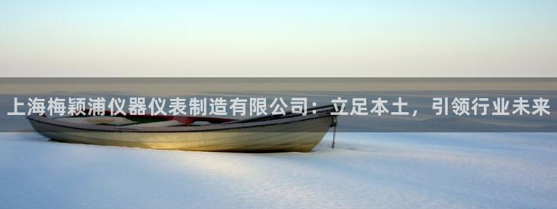 门徒娱乐是不是赌博软件：上海梅颖浦仪器仪表制造有限公司：立足