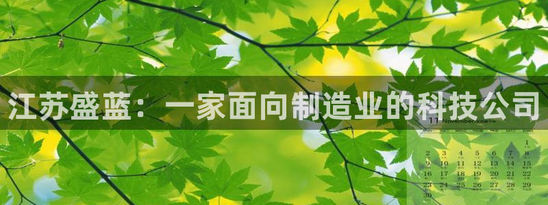 门徒娱乐平台是正规的吗：江苏盛蓝：一家面向制造业的科技公司