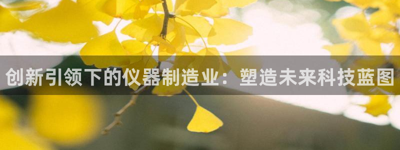 门徒娱乐线路怎么走：创新引领下的仪器制造业：塑造未来科技蓝图