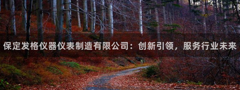 门徒娱乐正规吗：保定发格仪器仪表制造有限公司：创新引领，服务