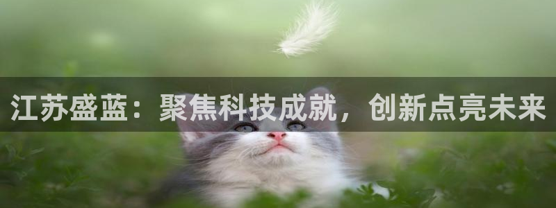 门徒娱乐老板怎么称呼的：江苏盛蓝：聚焦科技成就，创新点亮未来