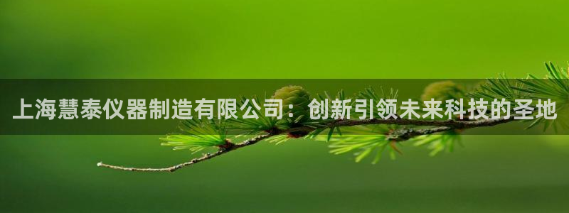 娱乐门徒123：上海慧泰仪器制造有限公司：创新引领未来科技的