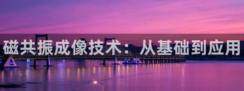 门徒娱乐注册官方微信号：磁共振成像技术：从基础到应用
