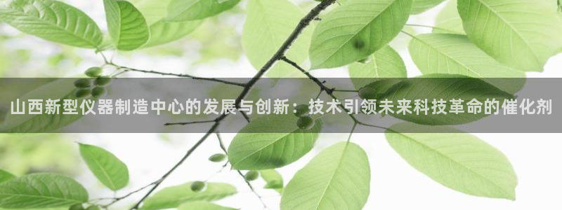 门徒娱乐手机登录版：山西新型仪器制造中心的发展与创新：技术引