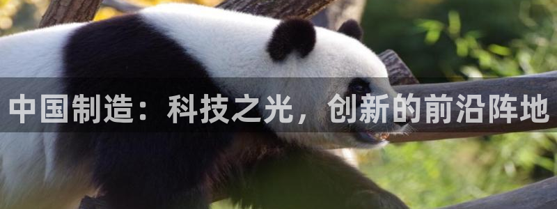 门徒娱乐是个什么：中国制造：科技之光，创新的前沿阵地