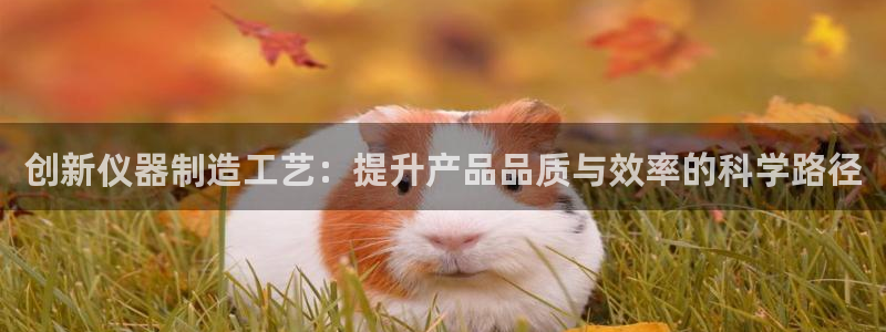 门徒娱乐系列有哪些剧：创新仪器制造工艺：提升产品品质与效率的