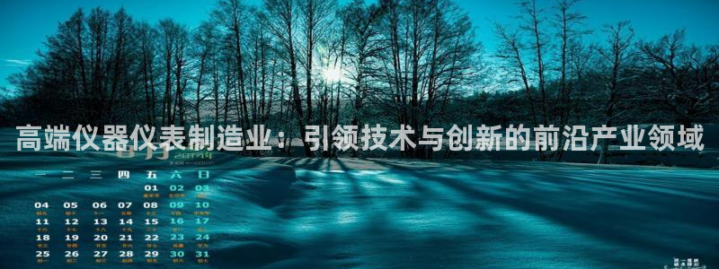 门徒娱乐其看判官333OO：高端仪器仪表制造业：引领技术与创