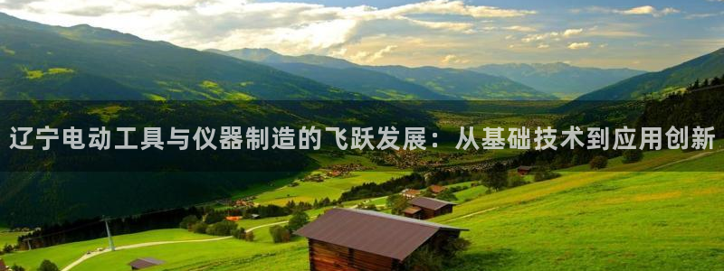 娱乐门徒是什么意思：辽宁电动工具与仪器制造的飞跃发展：从基础