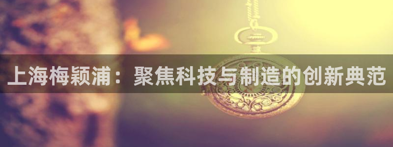门徒娱乐圈主管的是谁啊：上海梅颖浦：聚焦科技与制造的创新典范