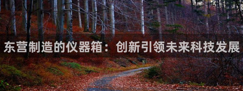 娱乐门徒 小说在线阅读：东营制造的仪器箱：创新引领未来科技发