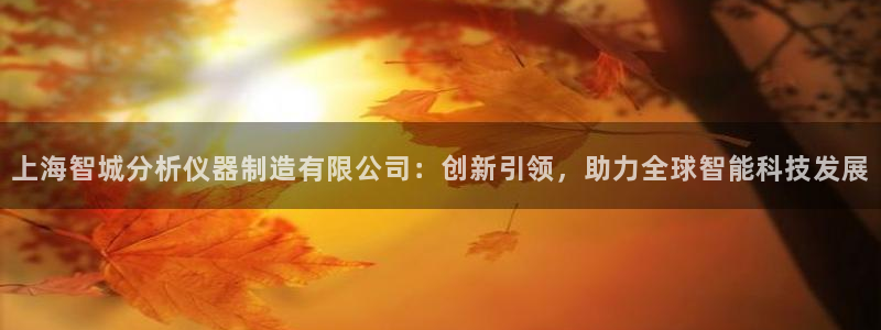 门徒娱乐怎么赚钱：上海智城分析仪器制造有限公司：创新引领，助