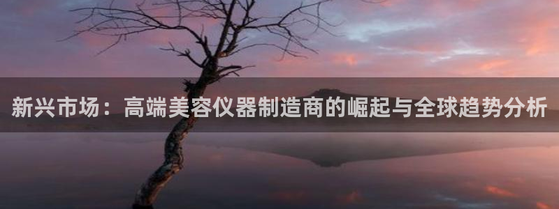 门徒娱乐怎么登录不了：新兴市场：高端美容仪器制造商的崛起与全