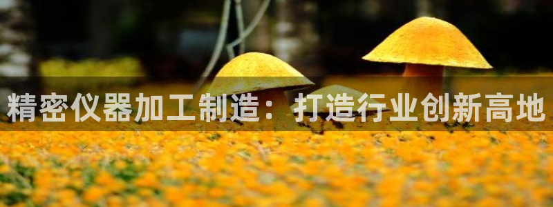 门徒娱乐下载版权所有：精密仪器加工制造：打造行业创新高地