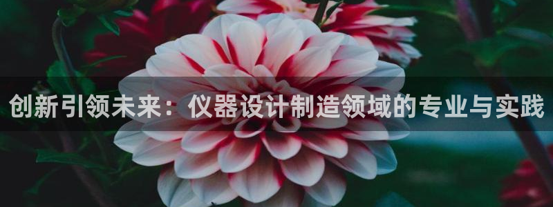 门徒娱乐联盟官网首页：创新引领未来：仪器设计制造领域的专业与