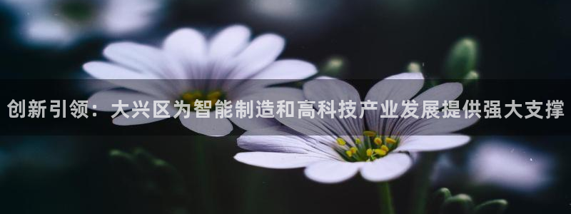 门徒娱乐注册找唐老鸭779O3：创新引领：大兴区为智能制造和