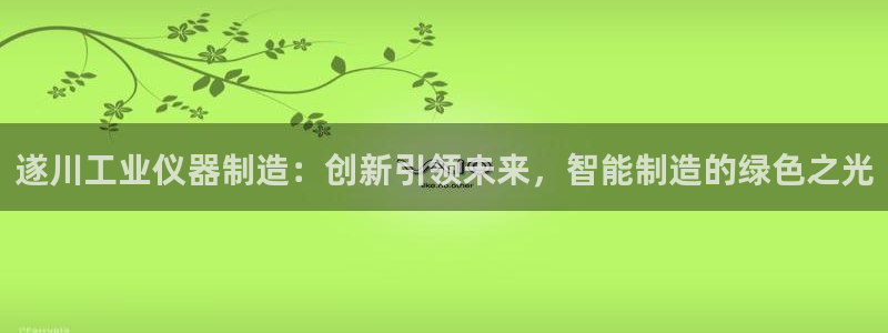 门徒娱乐登录中心官网：遂川工业仪器制造：创新引领未来，智能制