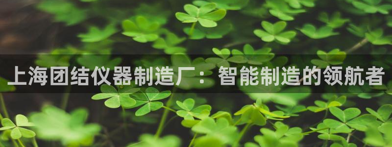门徒娱乐跑路了吗最新消息：上海团结仪器制造厂：智能制造的领航