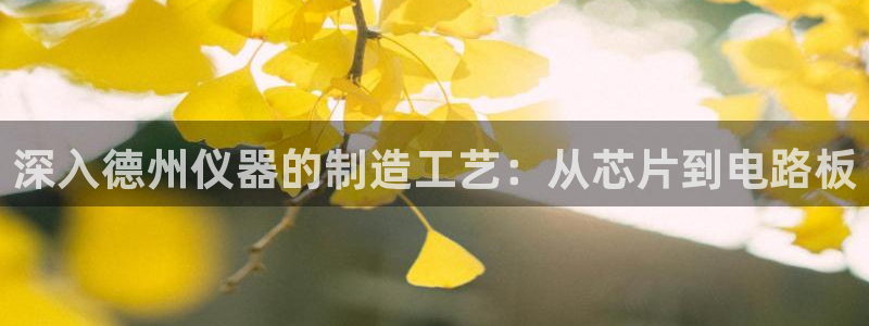 门徒娱乐圈：深入德州仪器的制造工艺：从芯片到电路板