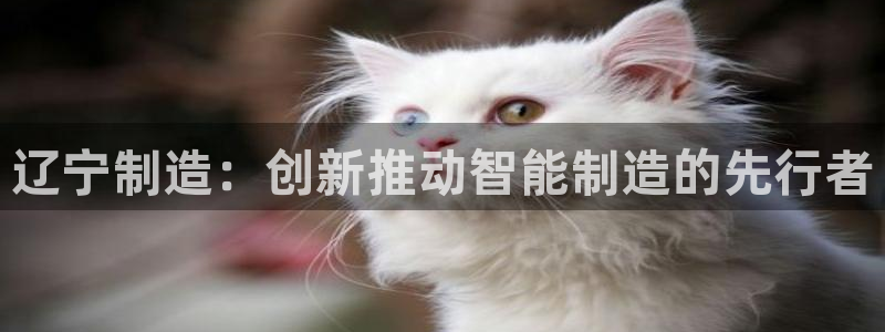 门徒娱乐平台登陆：辽宁制造：创新推动智能制造的先行者