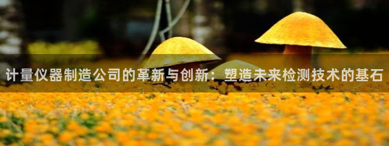 门徒娱乐注册登录地址：计量仪器制造公司的革新与创新：塑造未来