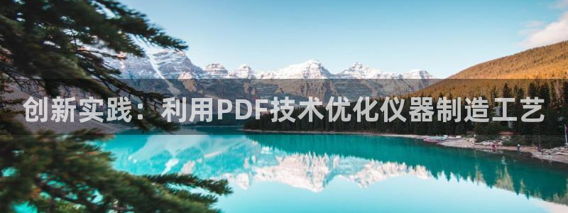门徒娱乐寸67五壹叁八：创新实践：利用PDF技术优化仪器制造