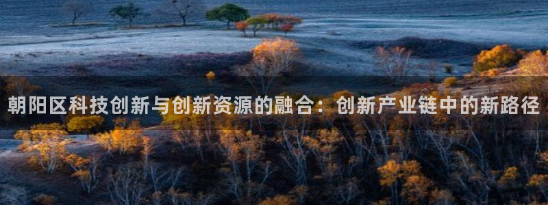 门徒娱乐技术q：朝阳区科技创新与创新资源的融合：创新产业链中