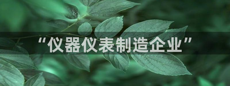 蓝狮门徒娱乐：“仪器仪表制造企业”