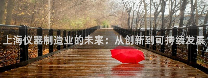 拉菲9门徒娱乐平台代理：上海仪器制造业的未来：从创新到可持续