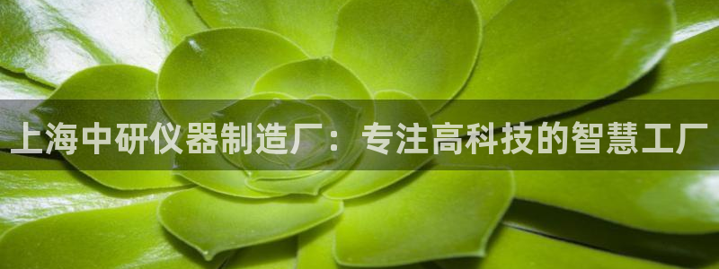 娱乐门徒笔趣阁：上海中研仪器制造厂：专注高科技的智慧工厂