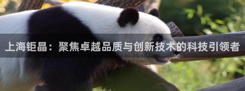 门徒娱乐加主管39977l6：上海钜晶：聚焦卓越品质与创新技