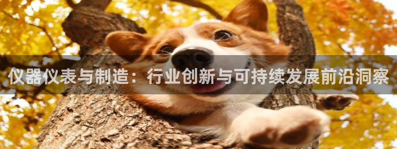 门徒娱乐线路图片高清：仪器仪表与制造：行业创新与可持续发展前