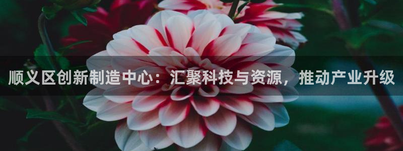 娱乐门徒完结