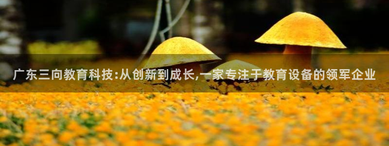 门徒娱乐官网登录入口：广东三向教育科技:从创新到成长,一家专