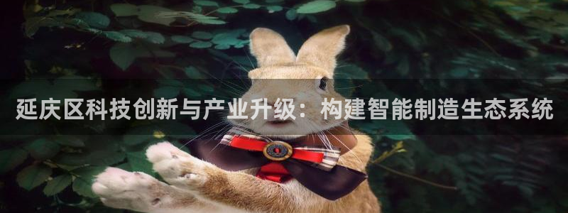门徒娱乐的优势和劣势：延庆区科技创新与产业升级：构建智能制造