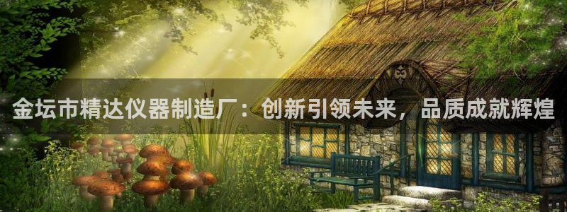 门徒娱乐官方网站地址在哪：金坛市精达仪器制造厂：创新引领未来